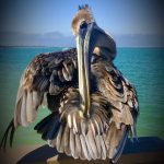 article image - 